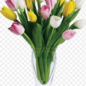 Meet your Posher, Tina